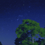 Cielo